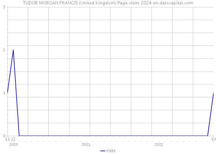 TUDOR MORGAN FRANCIS (United Kingdom) Page visits 2024 