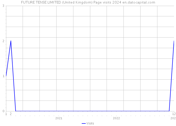 FUTURE TENSE LIMITED (United Kingdom) Page visits 2024 