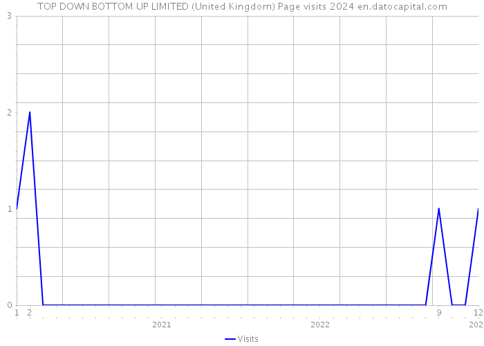 TOP DOWN BOTTOM UP LIMITED (United Kingdom) Page visits 2024 
