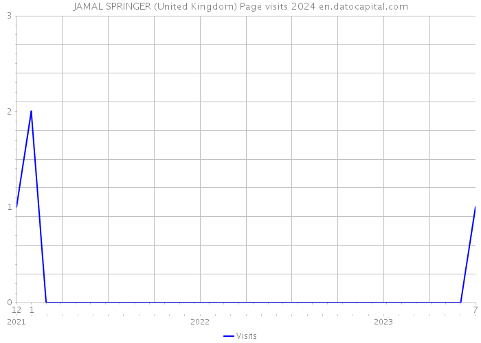 JAMAL SPRINGER (United Kingdom) Page visits 2024 