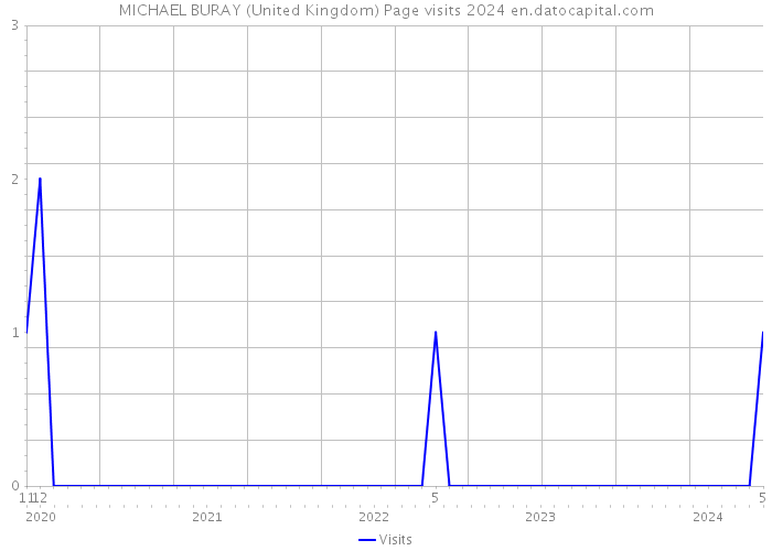 MICHAEL BURAY (United Kingdom) Page visits 2024 