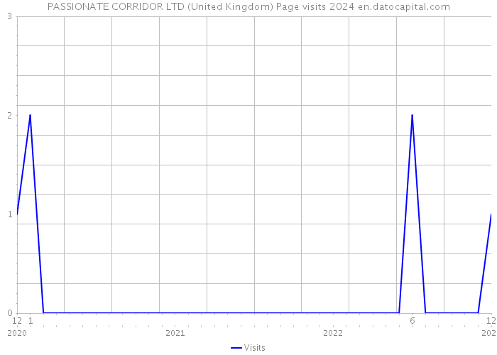 PASSIONATE CORRIDOR LTD (United Kingdom) Page visits 2024 
