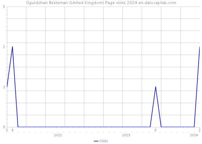 Oguldzhan Besteman (United Kingdom) Page visits 2024 