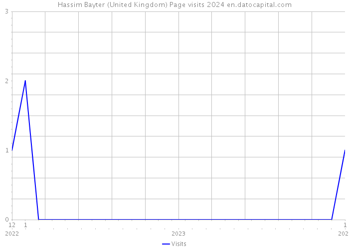 Hassim Bayter (United Kingdom) Page visits 2024 