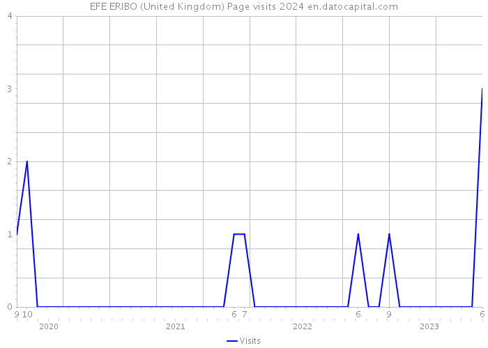 EFE ERIBO (United Kingdom) Page visits 2024 