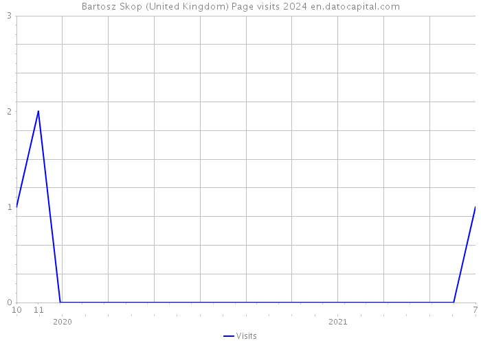 Bartosz Skop (United Kingdom) Page visits 2024 