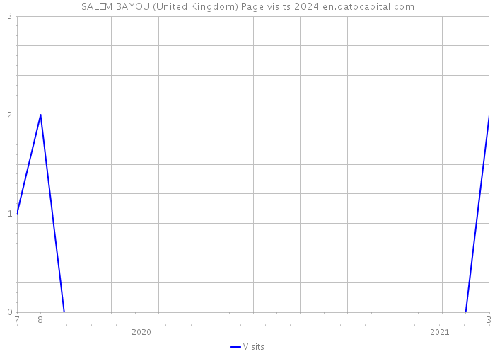 SALEM BAYOU (United Kingdom) Page visits 2024 
