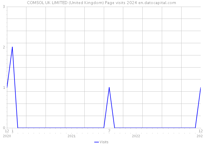 COMSOL UK LIMITED (United Kingdom) Page visits 2024 