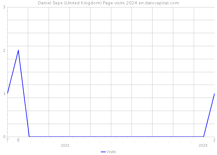 Daniel Sepe (United Kingdom) Page visits 2024 