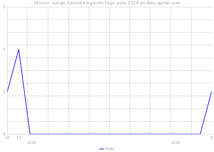 Nicusor Vulcan (United Kingdom) Page visits 2024 