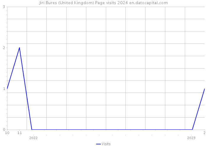 Jiri Bures (United Kingdom) Page visits 2024 