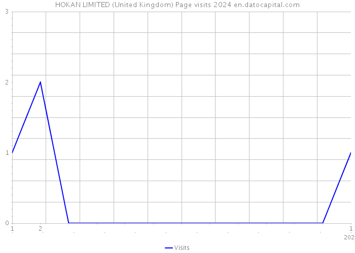 HOKAN LIMITED (United Kingdom) Page visits 2024 