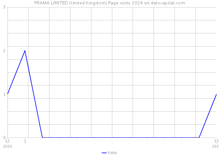 PRAMA LIMITED (United Kingdom) Page visits 2024 