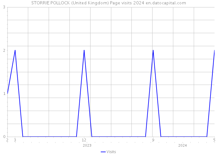 STORRIE POLLOCK (United Kingdom) Page visits 2024 