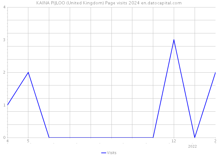KAINA PIJLOO (United Kingdom) Page visits 2024 