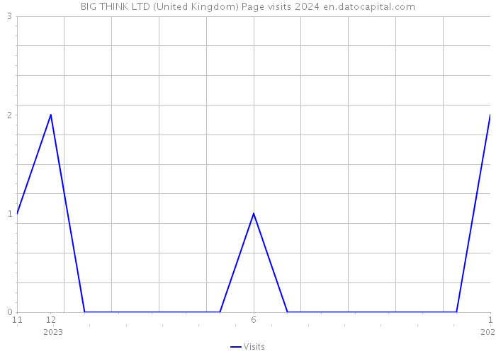 BIG THINK LTD (United Kingdom) Page visits 2024 