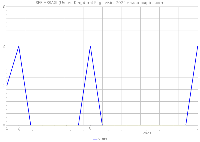 SEB ABBASI (United Kingdom) Page visits 2024 