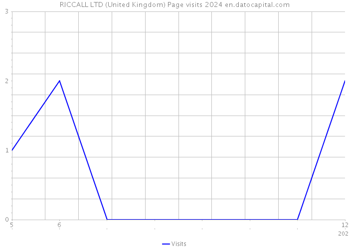 RICCALL LTD (United Kingdom) Page visits 2024 