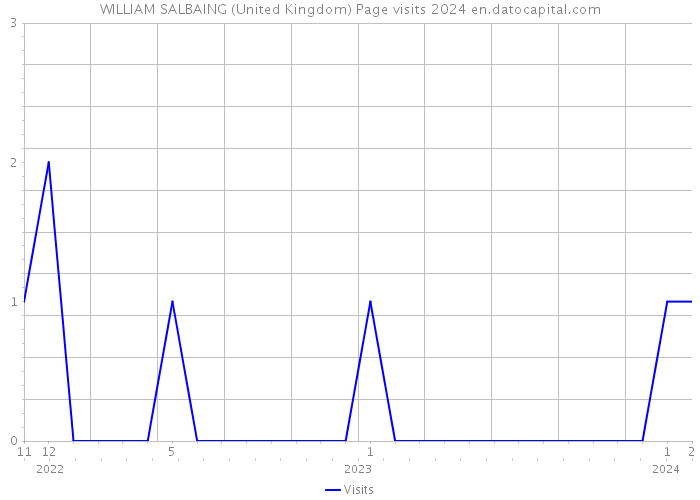 WILLIAM SALBAING (United Kingdom) Page visits 2024 