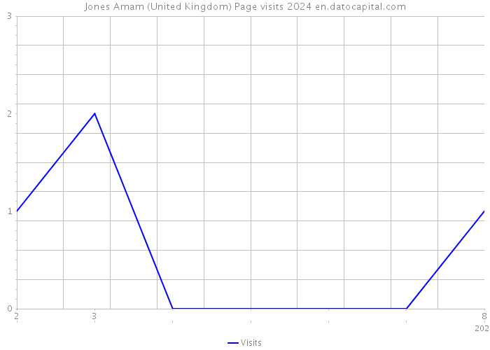 Jones Amam (United Kingdom) Page visits 2024 