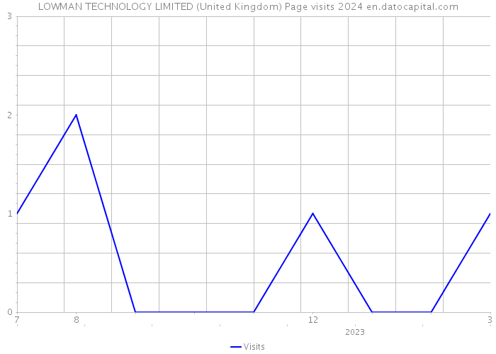 LOWMAN TECHNOLOGY LIMITED (United Kingdom) Page visits 2024 