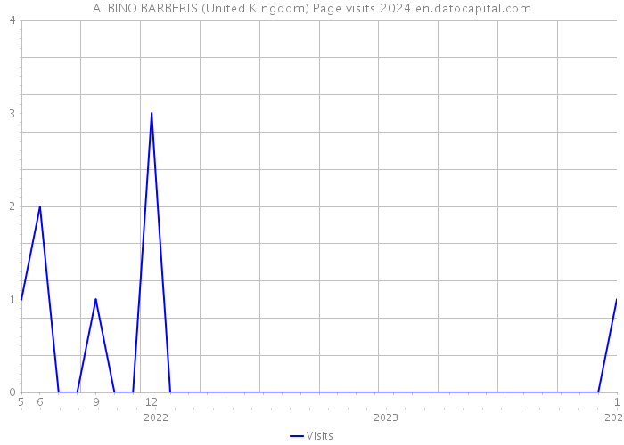 ALBINO BARBERIS (United Kingdom) Page visits 2024 