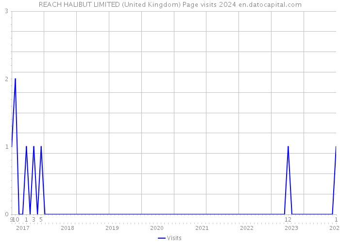 REACH HALIBUT LIMITED (United Kingdom) Page visits 2024 