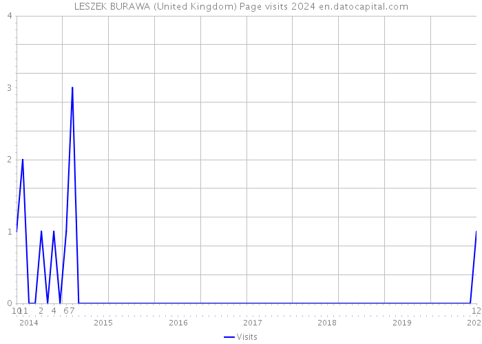 LESZEK BURAWA (United Kingdom) Page visits 2024 