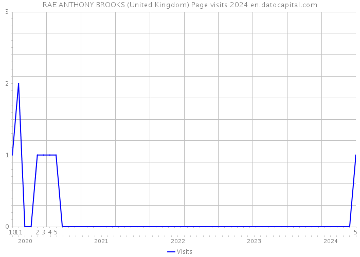 RAE ANTHONY BROOKS (United Kingdom) Page visits 2024 