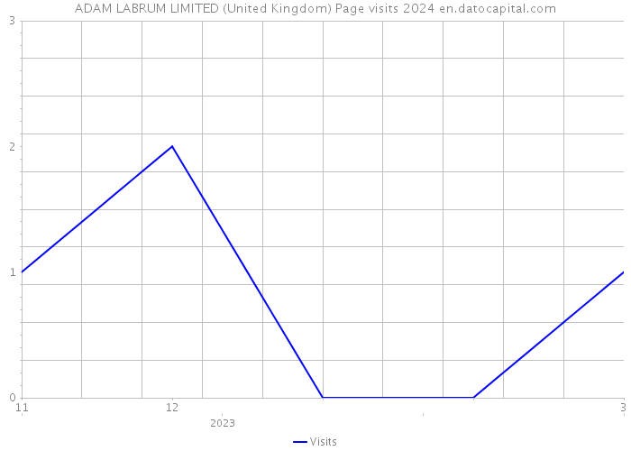 ADAM LABRUM LIMITED (United Kingdom) Page visits 2024 