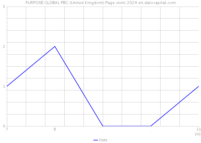 PURPOSE GLOBAL PBC (United Kingdom) Page visits 2024 