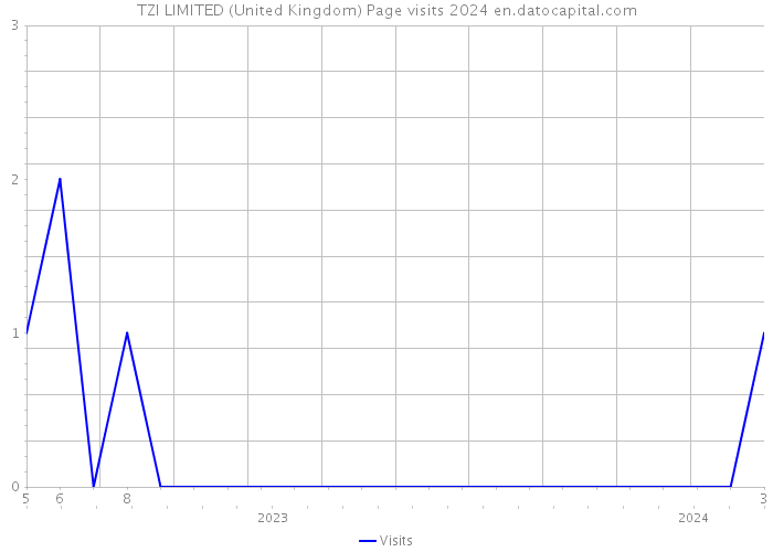 TZI LIMITED (United Kingdom) Page visits 2024 