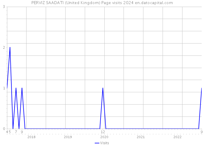 PERVIZ SAADATI (United Kingdom) Page visits 2024 