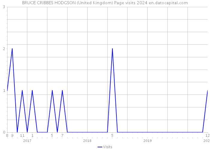 BRUCE CRIBBES HODGSON (United Kingdom) Page visits 2024 