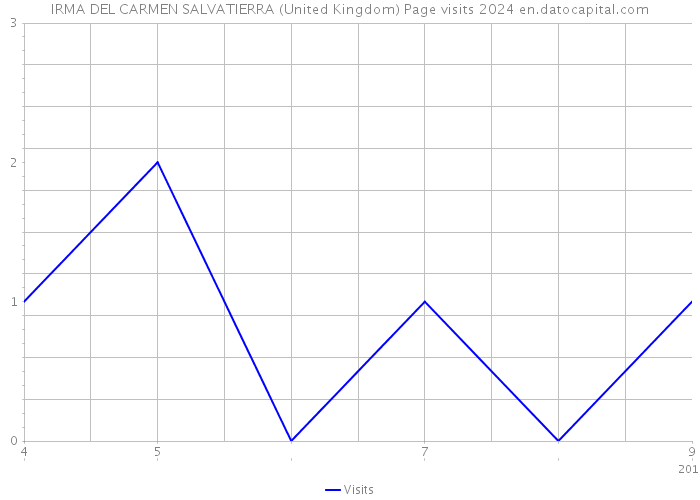IRMA DEL CARMEN SALVATIERRA (United Kingdom) Page visits 2024 