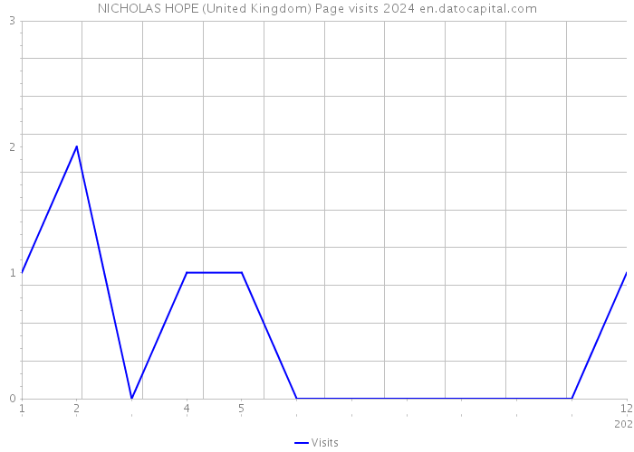 NICHOLAS HOPE (United Kingdom) Page visits 2024 