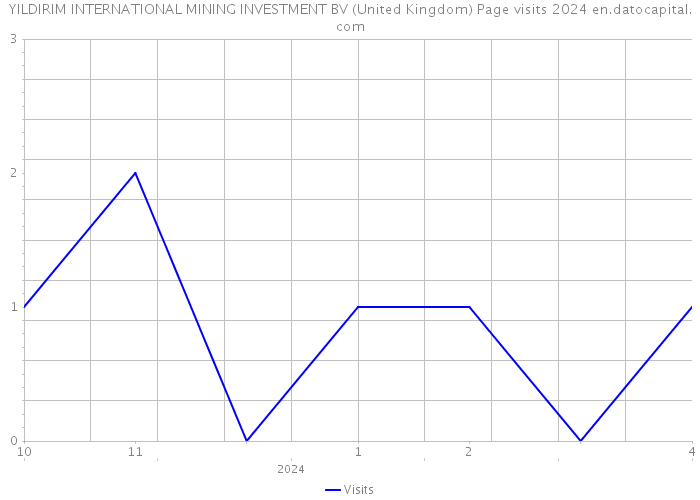YILDIRIM INTERNATIONAL MINING INVESTMENT BV (United Kingdom) Page visits 2024 