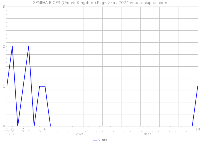 SEMIHA BICER (United Kingdom) Page visits 2024 