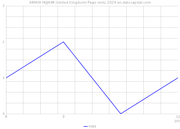 AMANI HIJJAWI (United Kingdom) Page visits 2024 