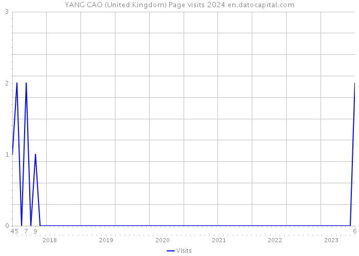 YANG CAO (United Kingdom) Page visits 2024 