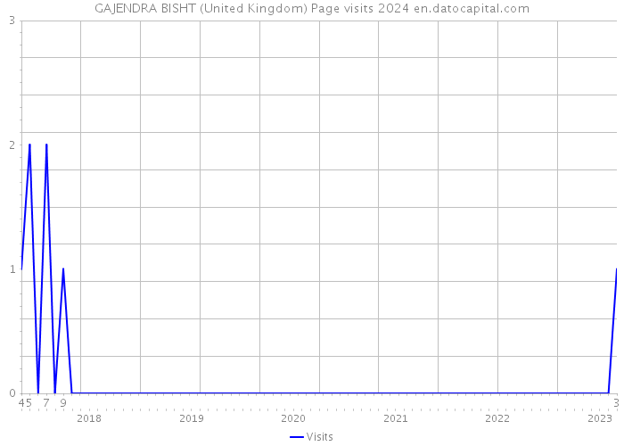 GAJENDRA BISHT (United Kingdom) Page visits 2024 