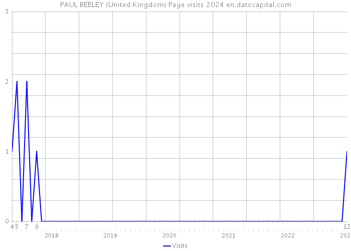 PAUL BEELEY (United Kingdom) Page visits 2024 