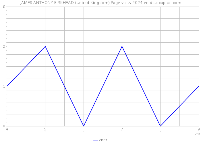 JAMES ANTHONY BIRKHEAD (United Kingdom) Page visits 2024 