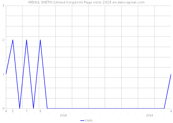 MEHUL SHETH (United Kingdom) Page visits 2024 