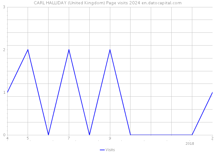 CARL HALLIDAY (United Kingdom) Page visits 2024 