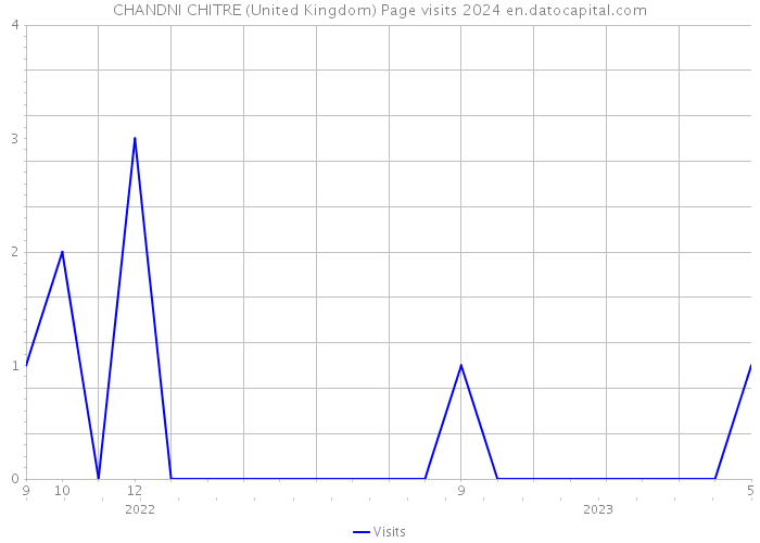CHANDNI CHITRE (United Kingdom) Page visits 2024 