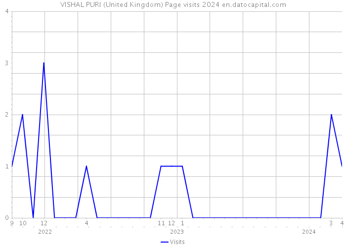 VISHAL PURI (United Kingdom) Page visits 2024 