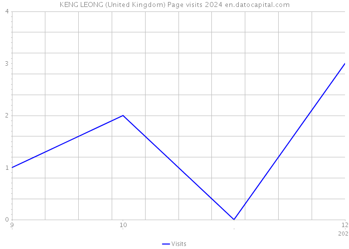KENG LEONG (United Kingdom) Page visits 2024 