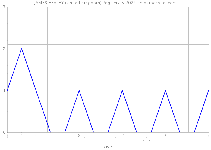 JAMES HEALEY (United Kingdom) Page visits 2024 