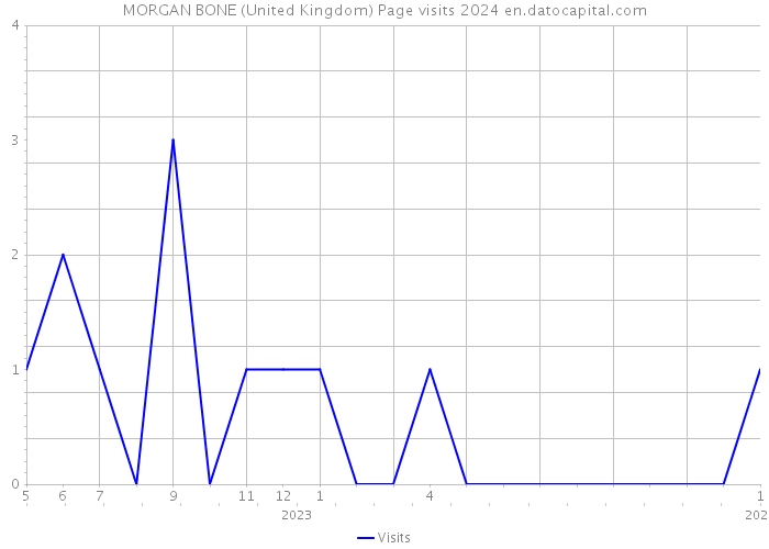 MORGAN BONE (United Kingdom) Page visits 2024 